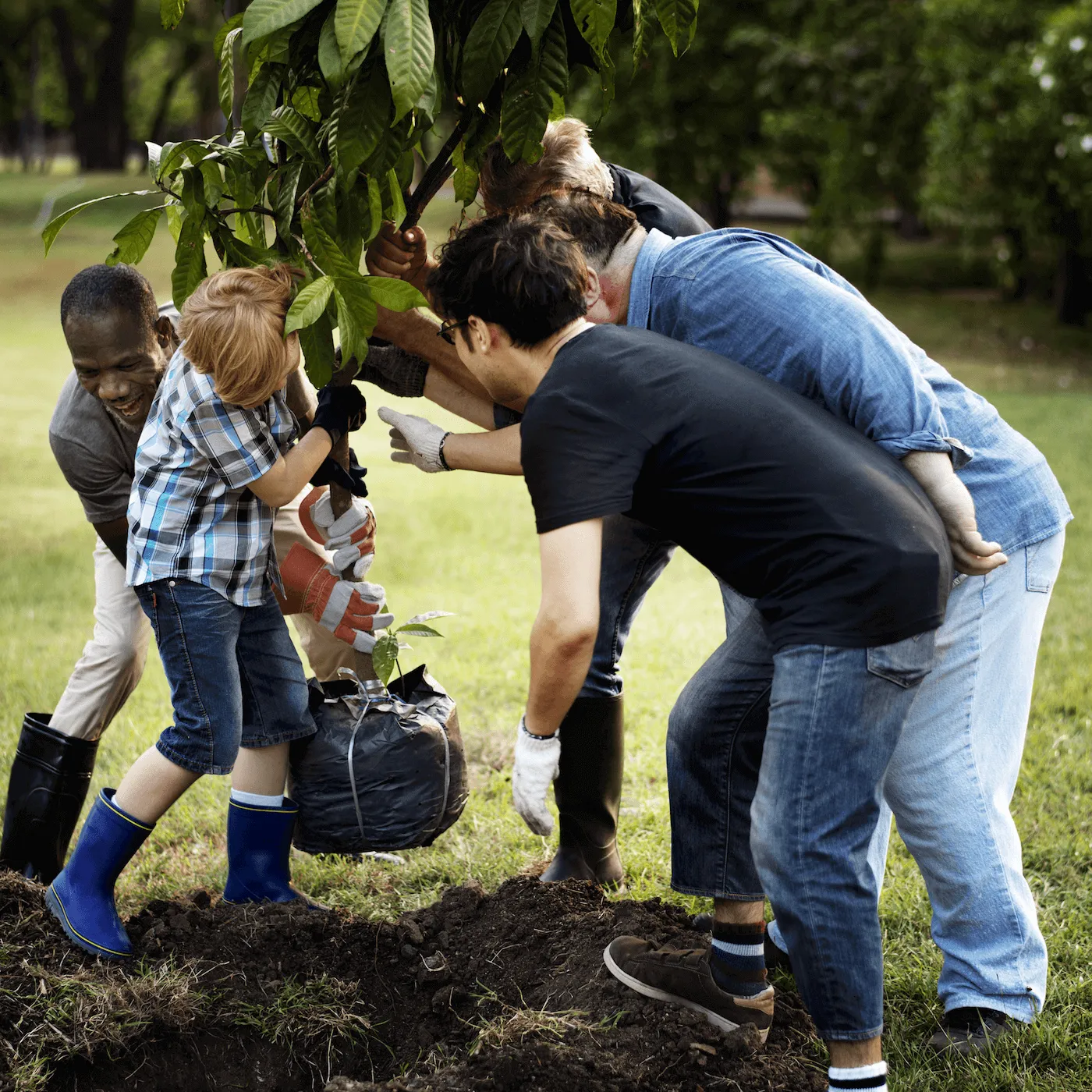 A group of people planting a tree